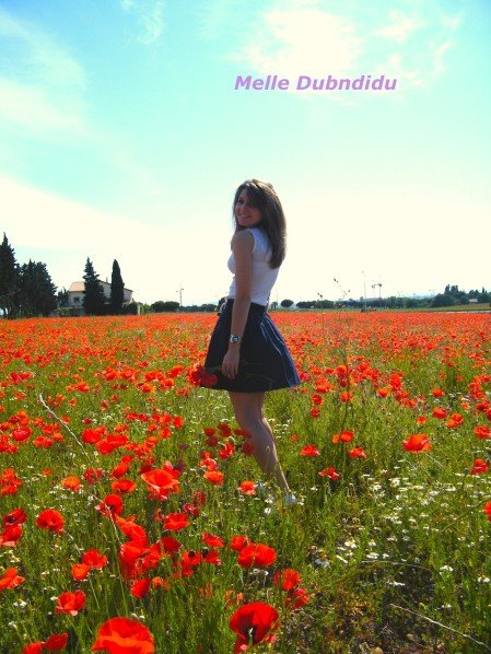 Mon champs de coquelicots #52