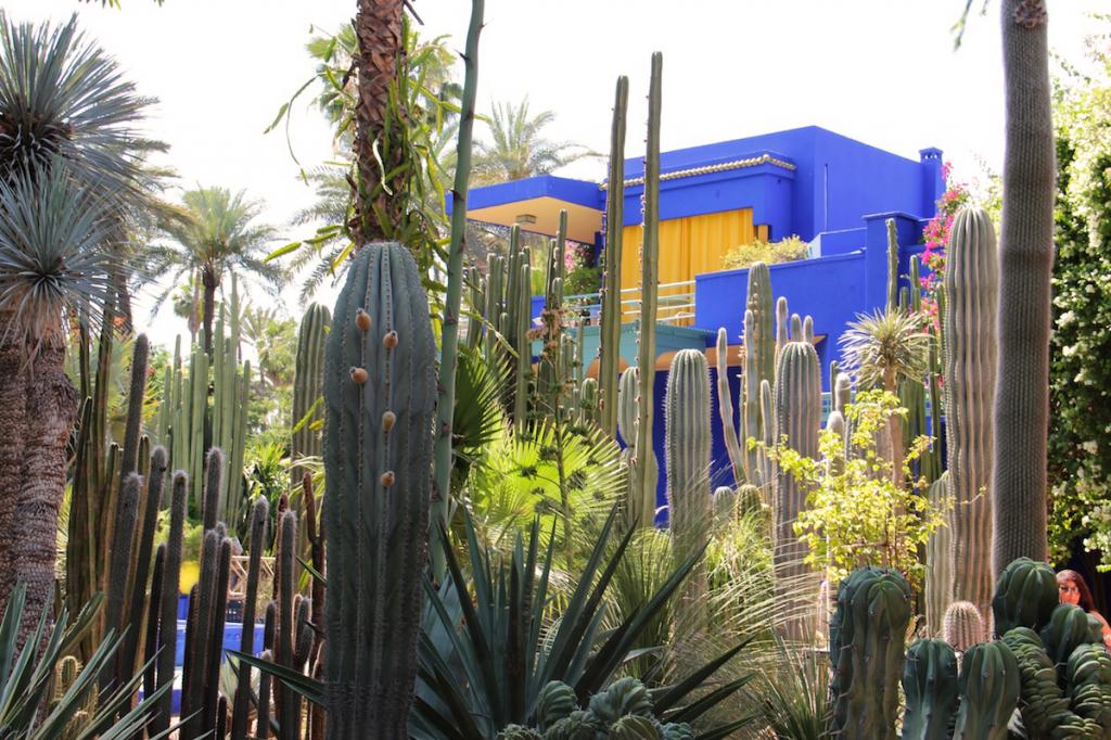 Bleu Majorelle : Visite du Jardin à Marrakech #50