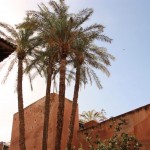 3 jours à Marrakech : La Visite de la Ville #48