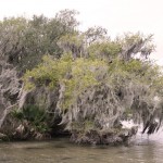 Goin&rsquo; Down The Bayou #25 New Orleans Partie 2