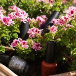 Cueillette de vernis OPI #7