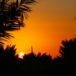 Long Weekend à Abu Dhabi et Dubaï #72