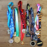 Running: Bilan de mes courses 2015 #231
