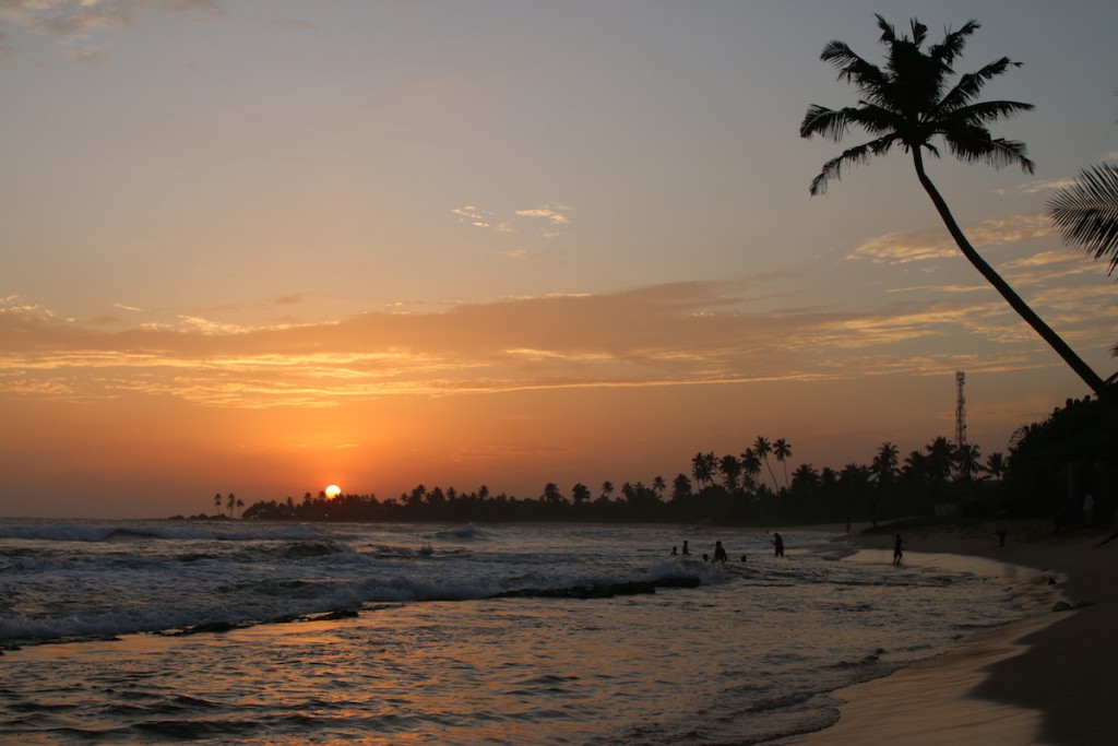 Road-Trip Sri Lanka: Mirissa #76