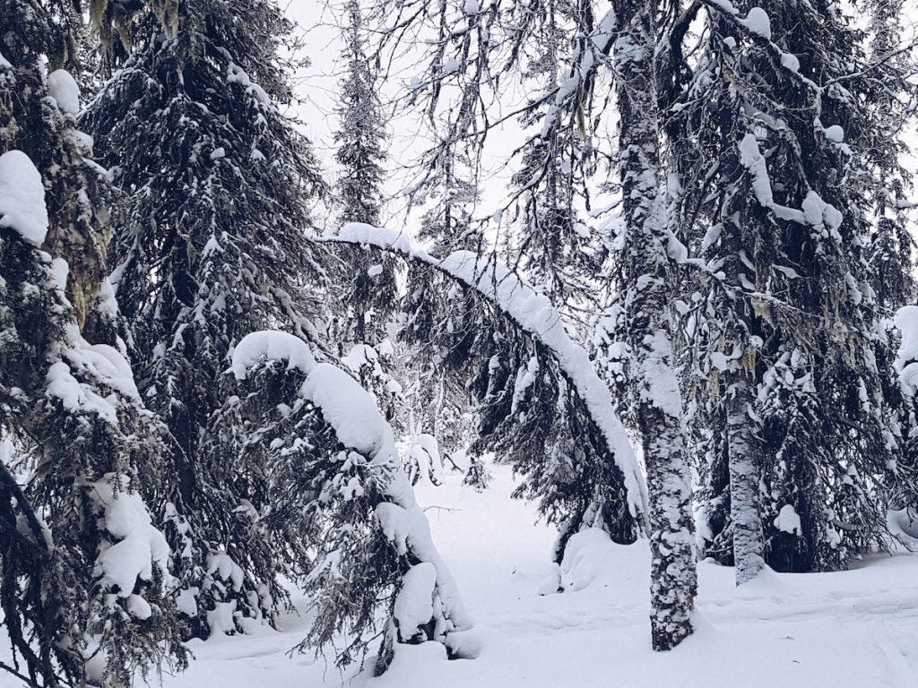 Un Weekend en Laponie, Finlande