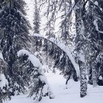 Un Weekend en Laponie, Finlande