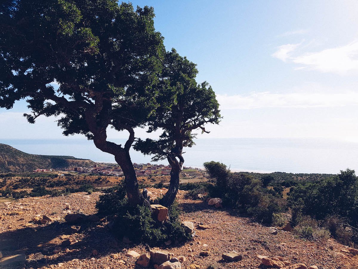 Aura Botanica: À la Découverte d'Agadir et de l'Huile d'Argan