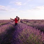 En Provence, au pays de la Lavande (mais pas que)
