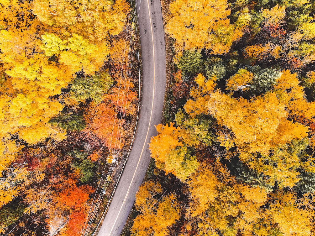 L'Automne au Québec: Région de Charlevoix 1/2