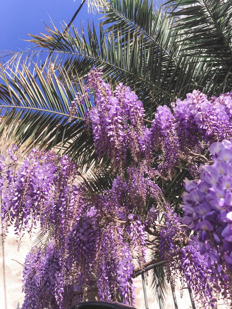 Ma Contraception: Pourquoi J&rsquo;ai Arrêté La Pilule et Comment je m&rsquo;organise maintenant ?