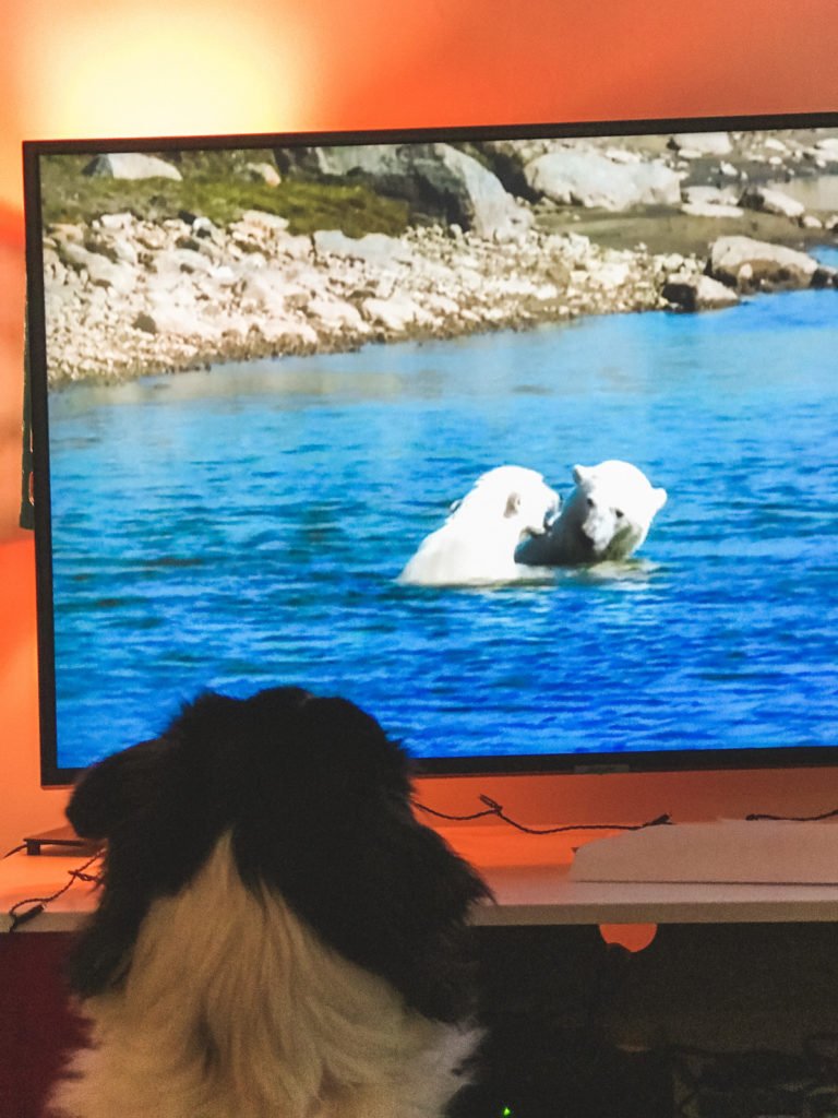 Mes 5 series favorites pour mettre le cerveau en pause