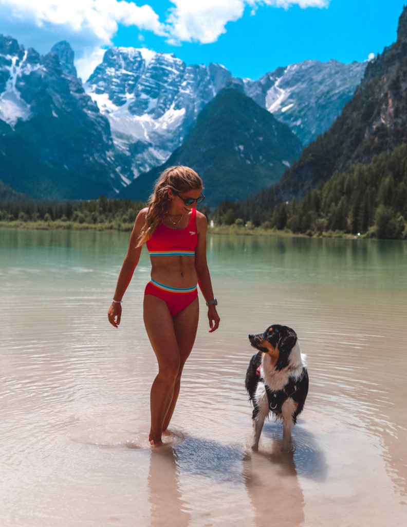 Ma petite expérience: Partir en Vacances avec son Chien (Italie/Corse)