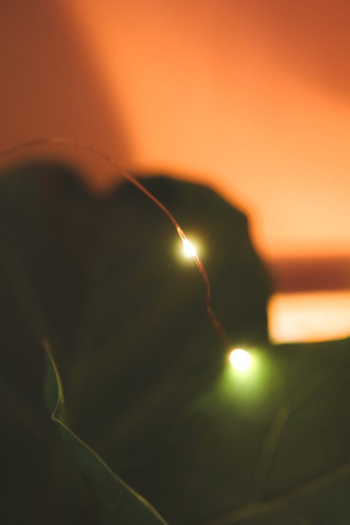 Choisir un Fournisseur d&rsquo;électricité « verte »: Choix Engagé ou Greenwashing ?