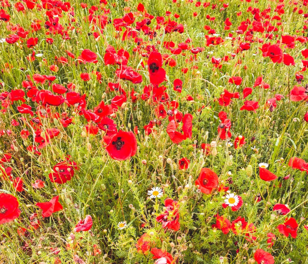 Sport: Arrêtez d&rsquo;appeler les femmes « des filles » !