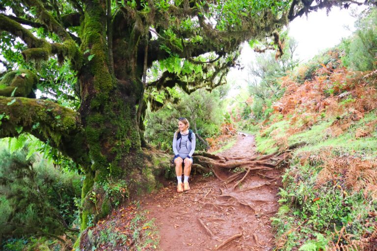 Madère, de retour après 8 ans : sur-tourisme ? qu&rsquo;est-ce qui a changé ?